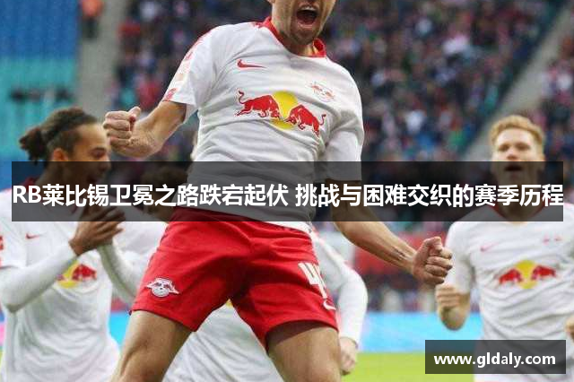 RB莱比锡卫冕之路跌宕起伏 挑战与困难交织的赛季历程