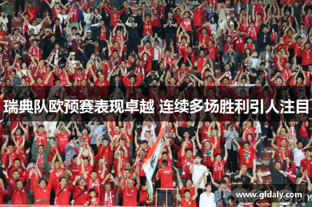 瑞典队欧预赛表现卓越 连续多场胜利引人注目