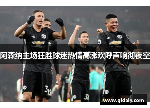 阿森纳主场狂胜球迷热情高涨欢呼声响彻夜空